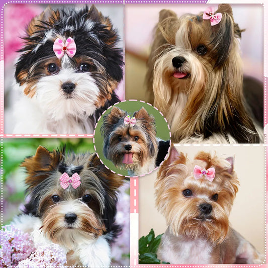 LAZOS ELEGANTES PARA PERROS Y CACHORROS (10 O 20 UNIDADES)
